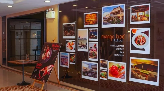 mango tree